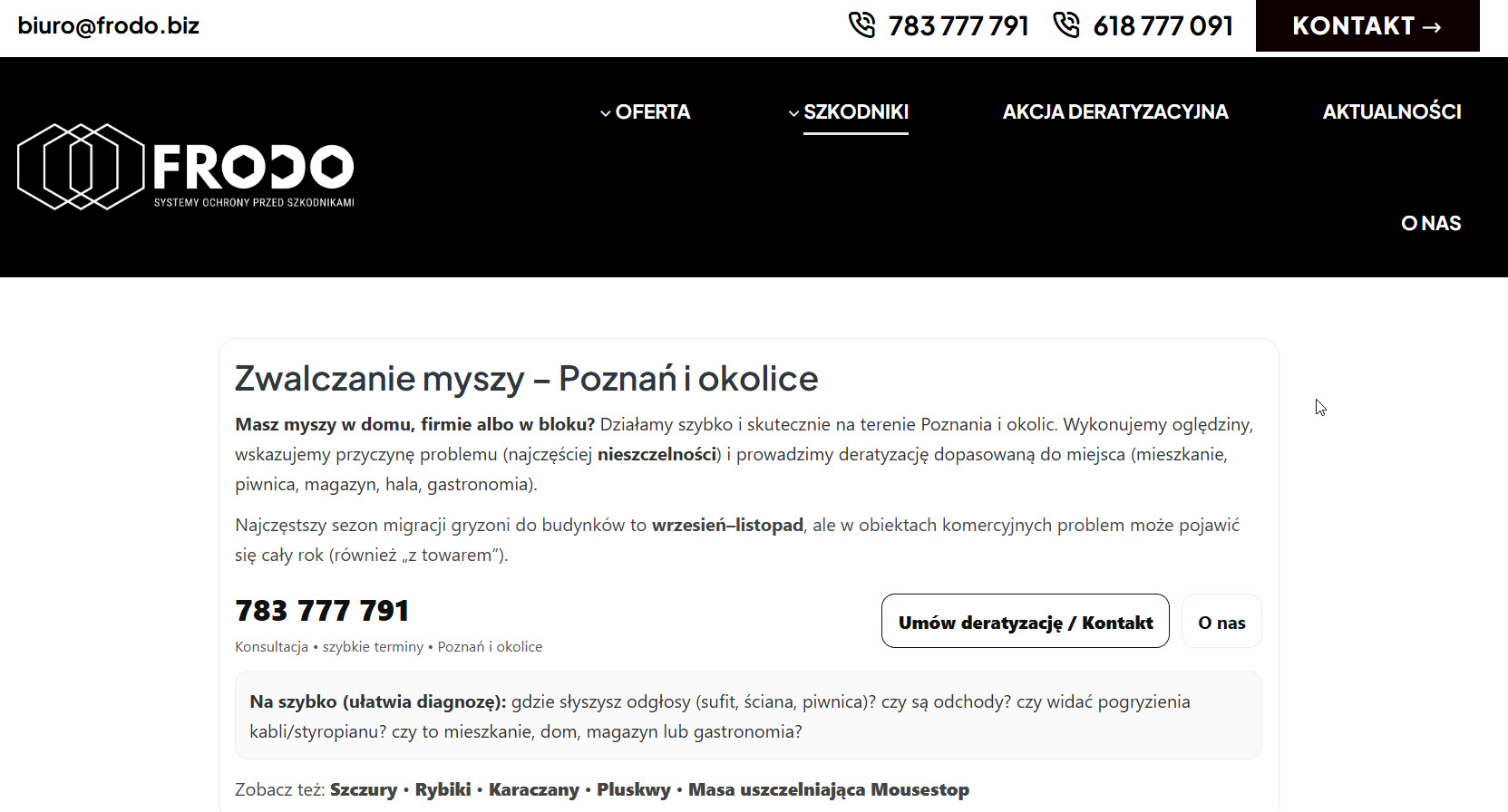 Deratyzacja szczurów i myszy - jakie metody stosują specjaliści?