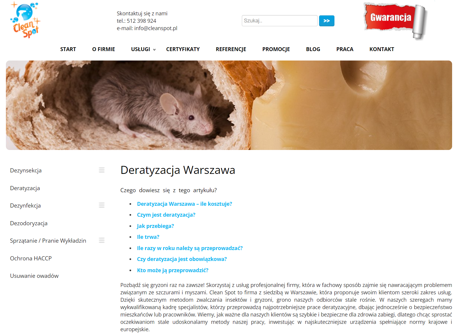 Szczury w piwnicy, garażu lub lokalu usługowym - jak skutecznie pozbyć się problemu w Warszawie?